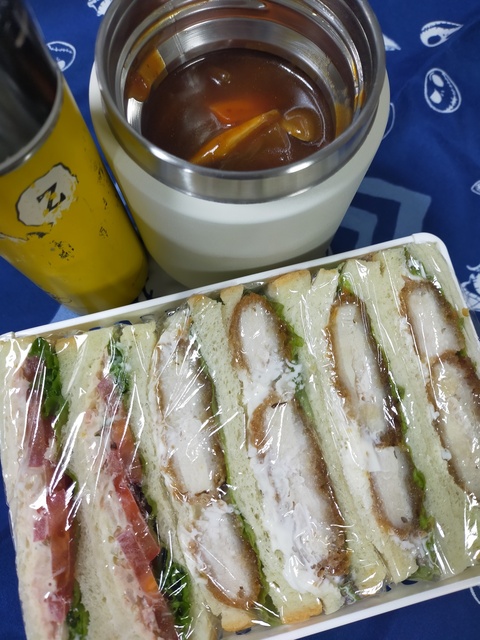 IMG20250131095108.jpg